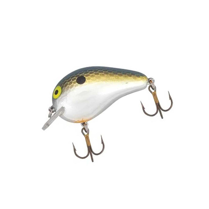 Bomber Next Gen Square A