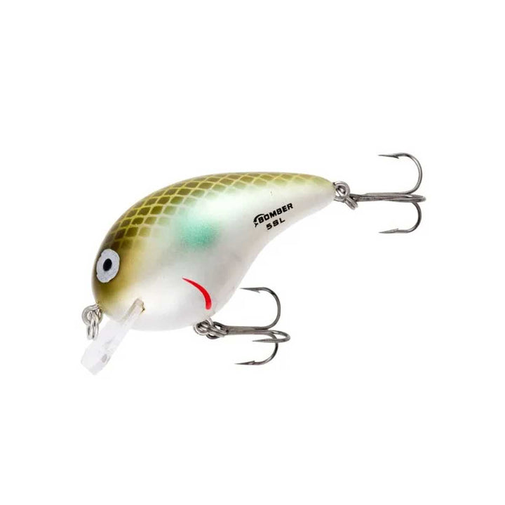 Bomber Next Gen Square A