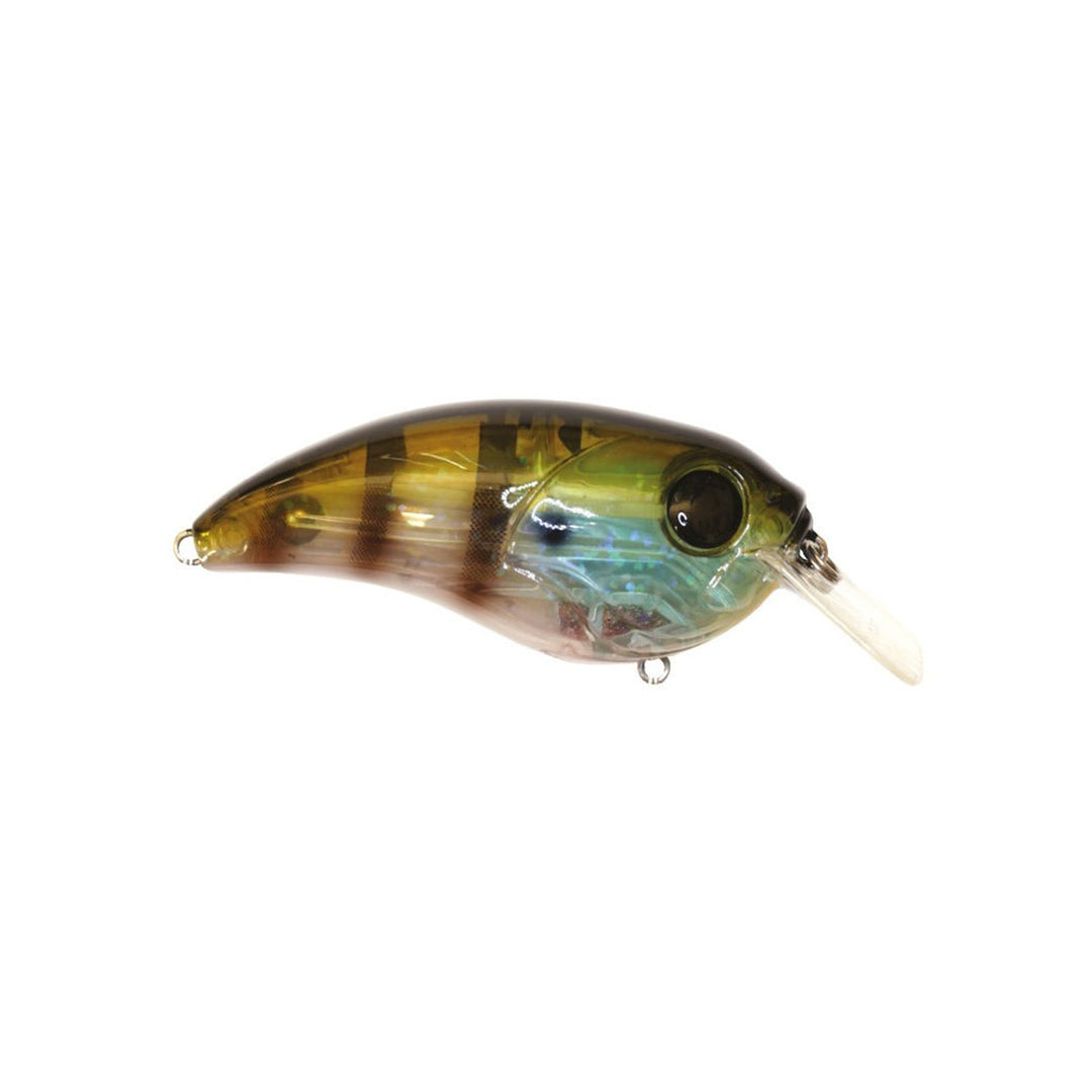 Damiki Brute Squarebill Crankbait – Wide-Wobble Shallow Water Lure for Bass Fishing