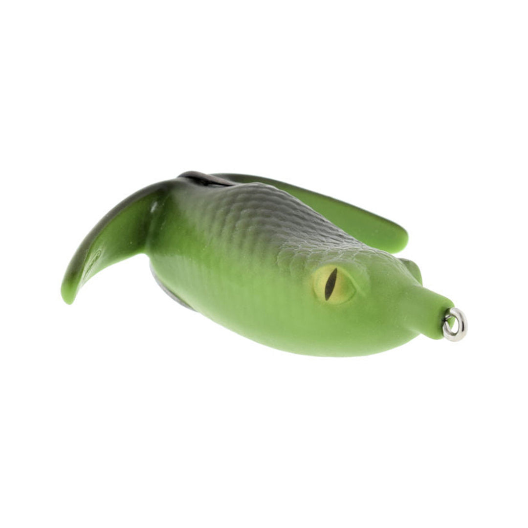 Deps Basirisky Frog