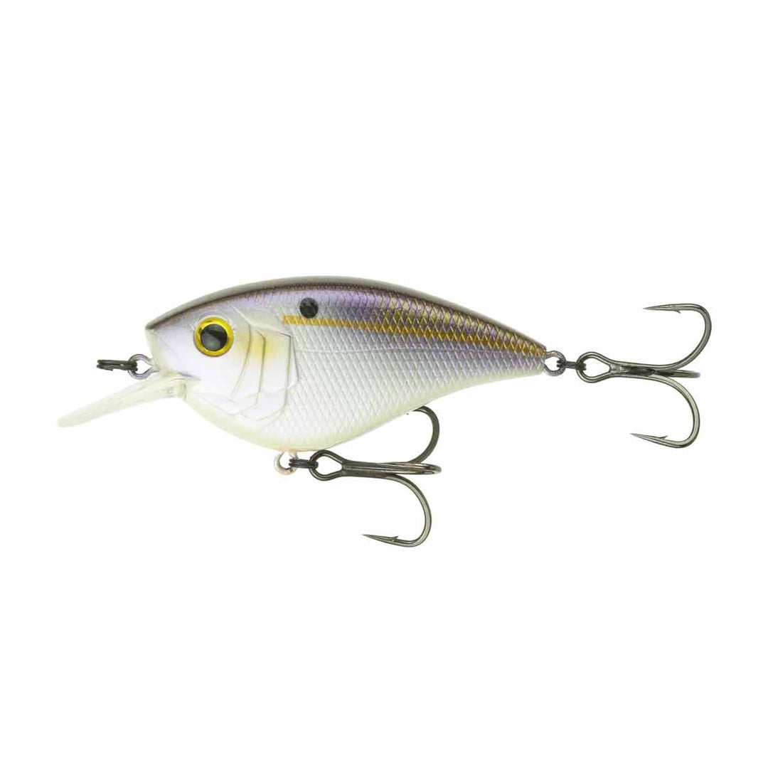 Crush Flat 75X_Gizzard Shad