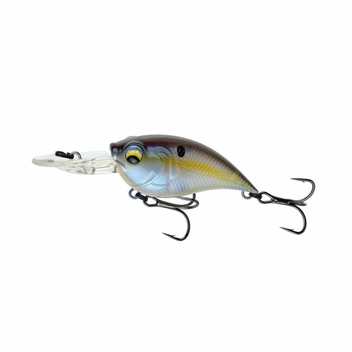 Curve 55_Shad Sense