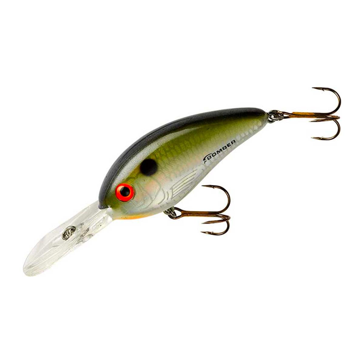 F.F. Shad_Dance's Tennessee Shad*