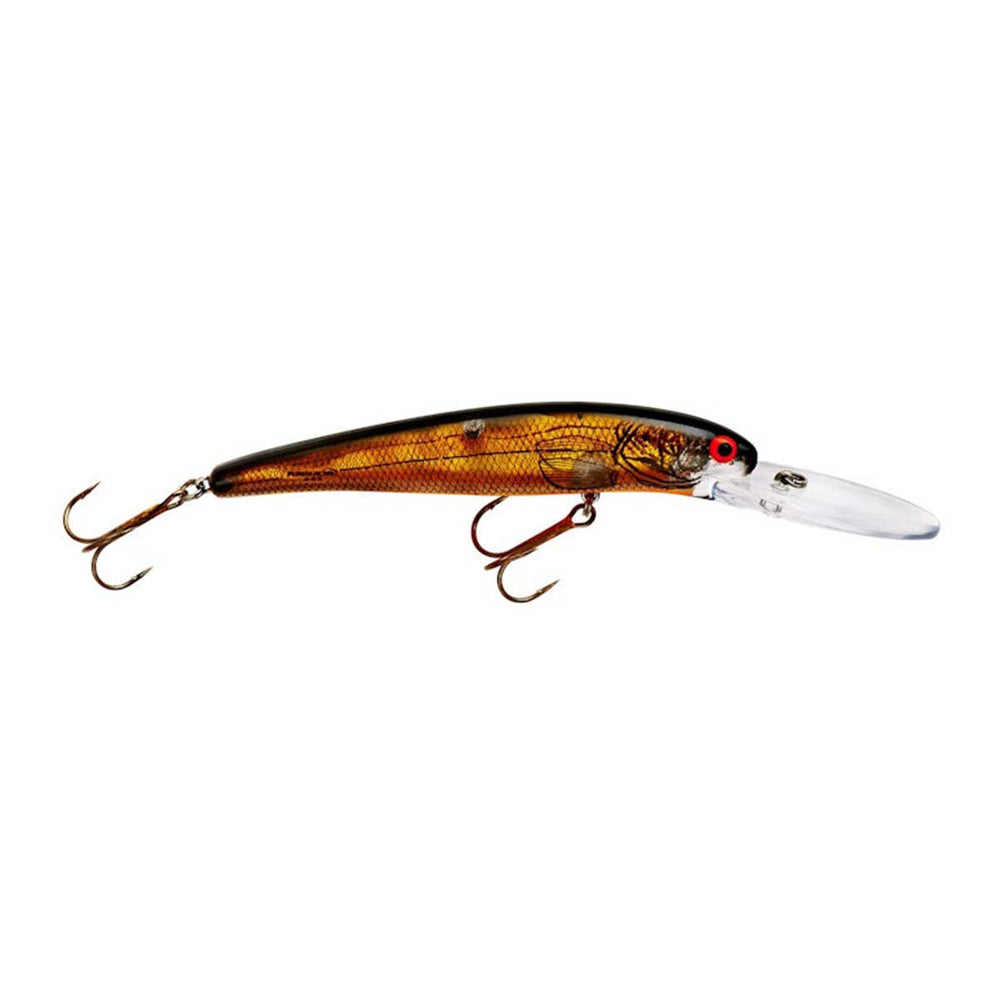 Deep Long A_Chartreuse Flash/Black Back/Orange Belly*