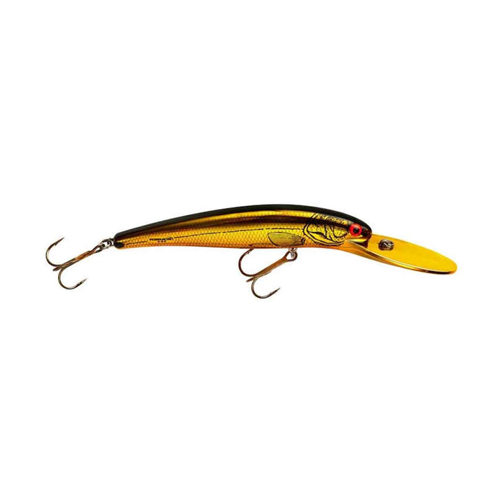 Deep Long A_Gold Chrome/Black Back/Orange Belly