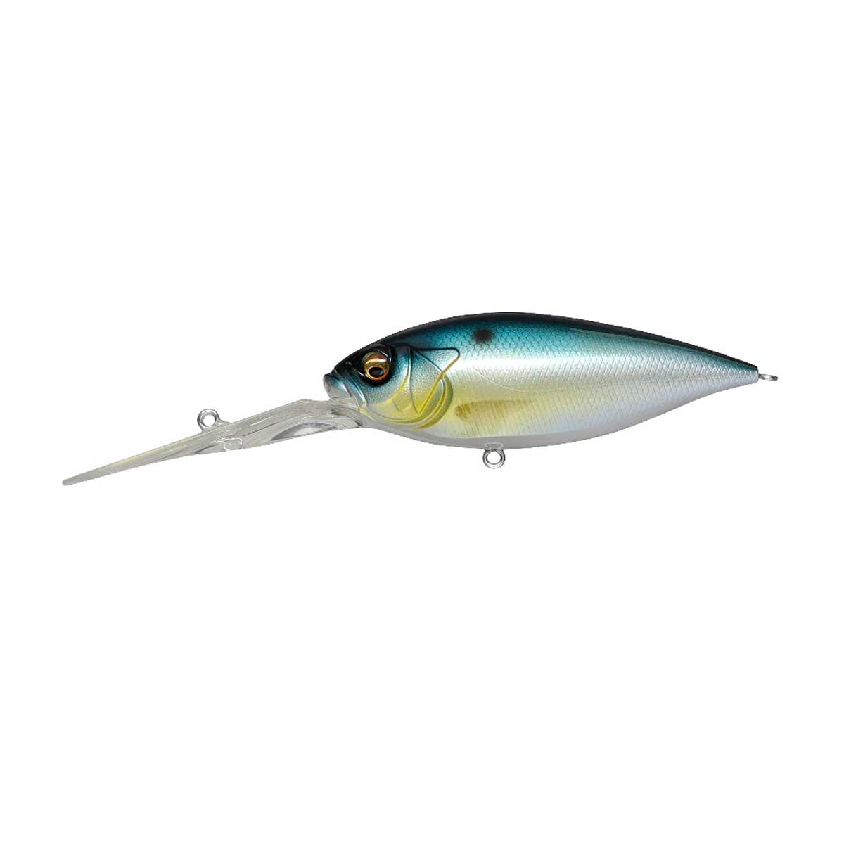 Deep-Six_PM Threadfin Shad