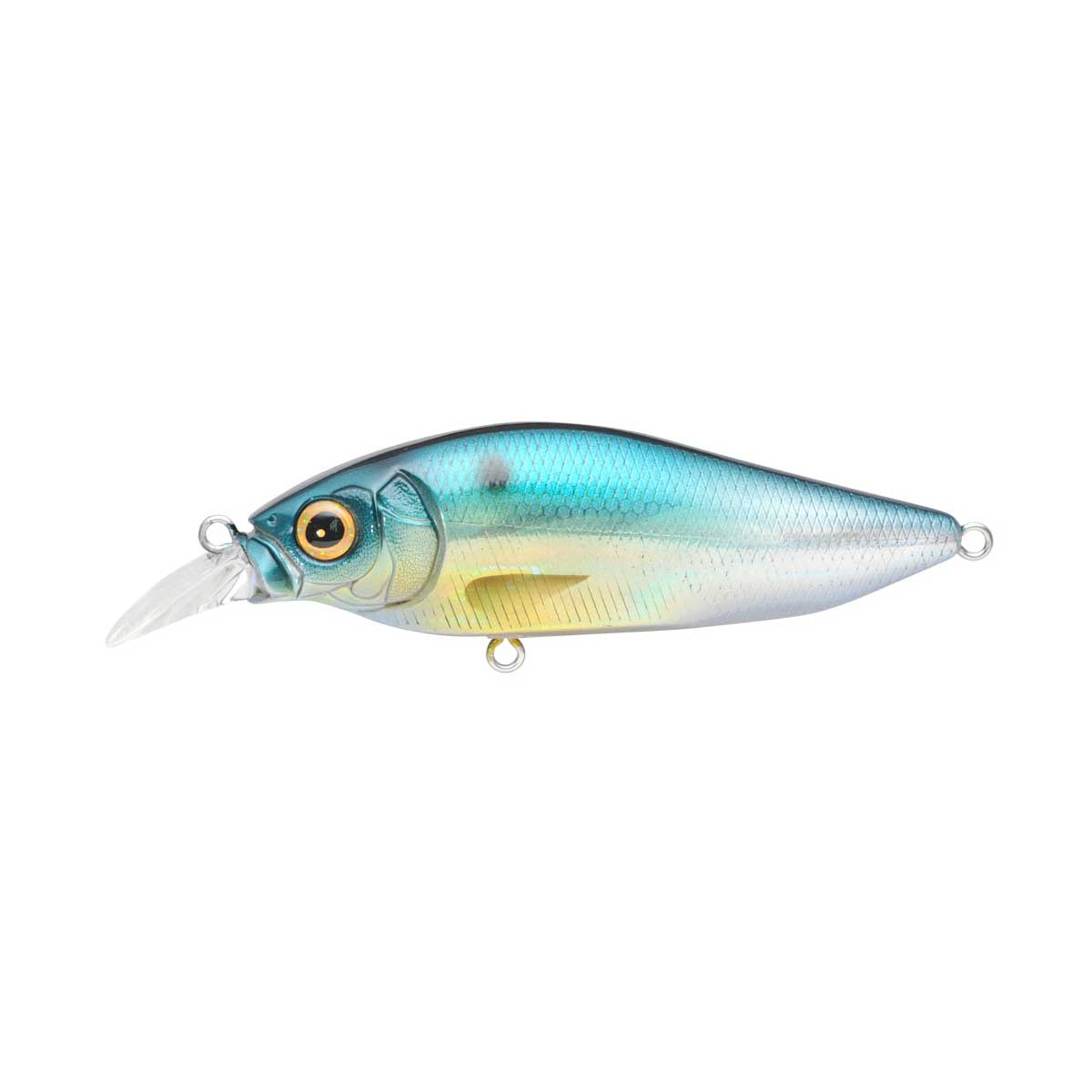 Flap Slap_GG Threadfin Shad