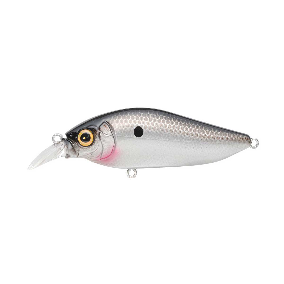 Flap Slap_Ozark Shad