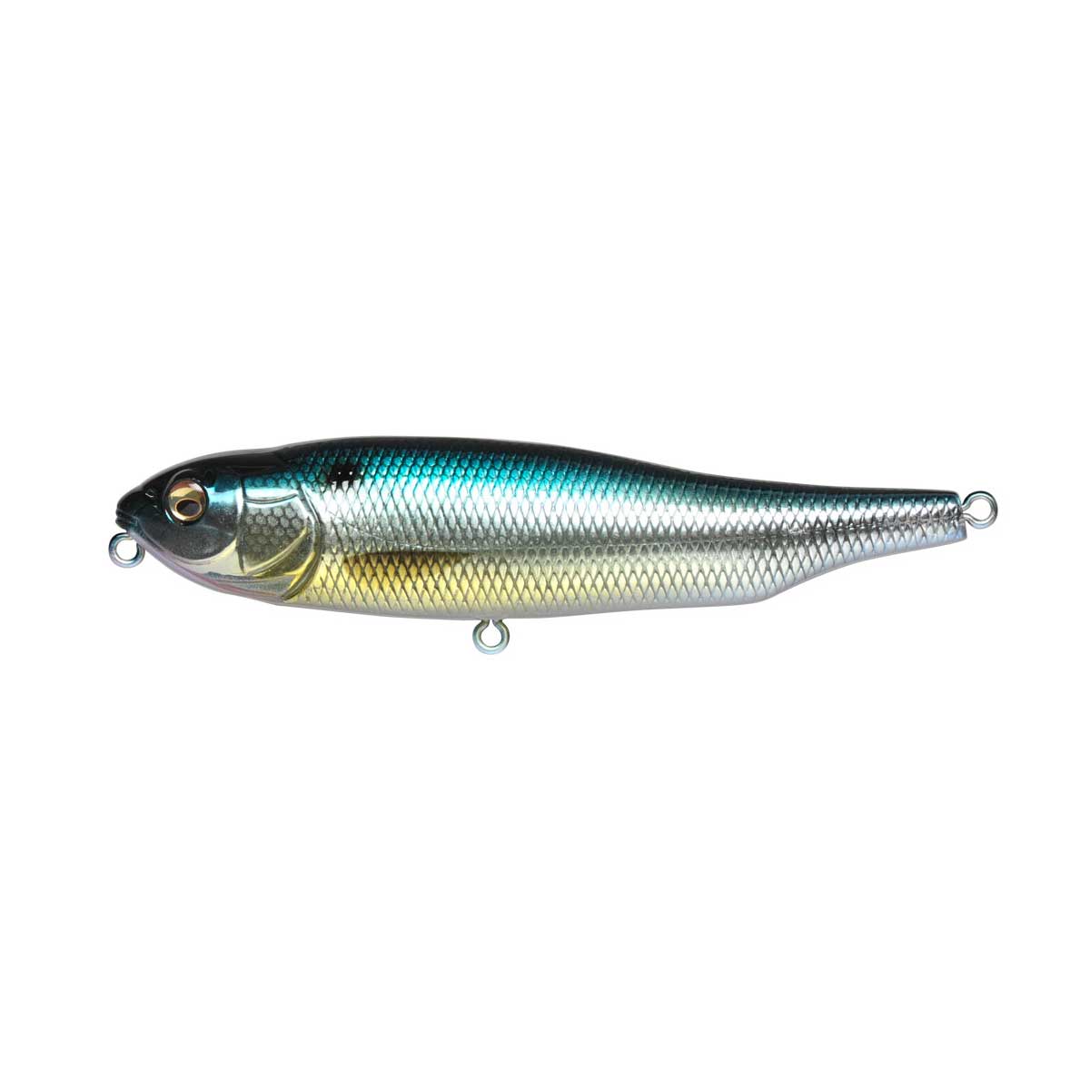 Giant Dog-X_M Threadfin Shad