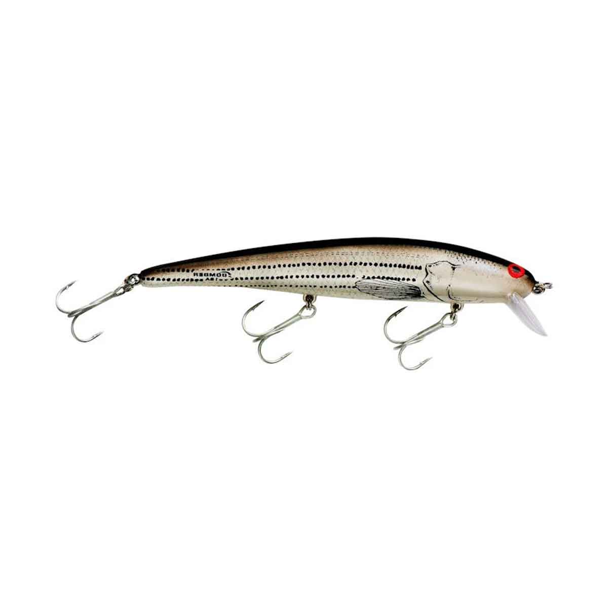 Long A_Baby Striper*