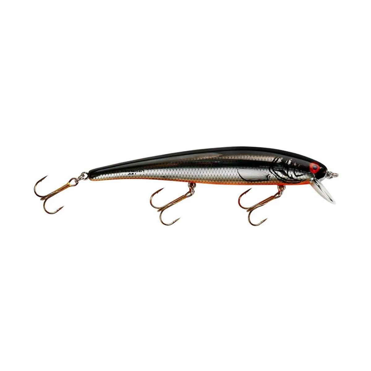 Long A_Chrome/Black Back Orange Belly*