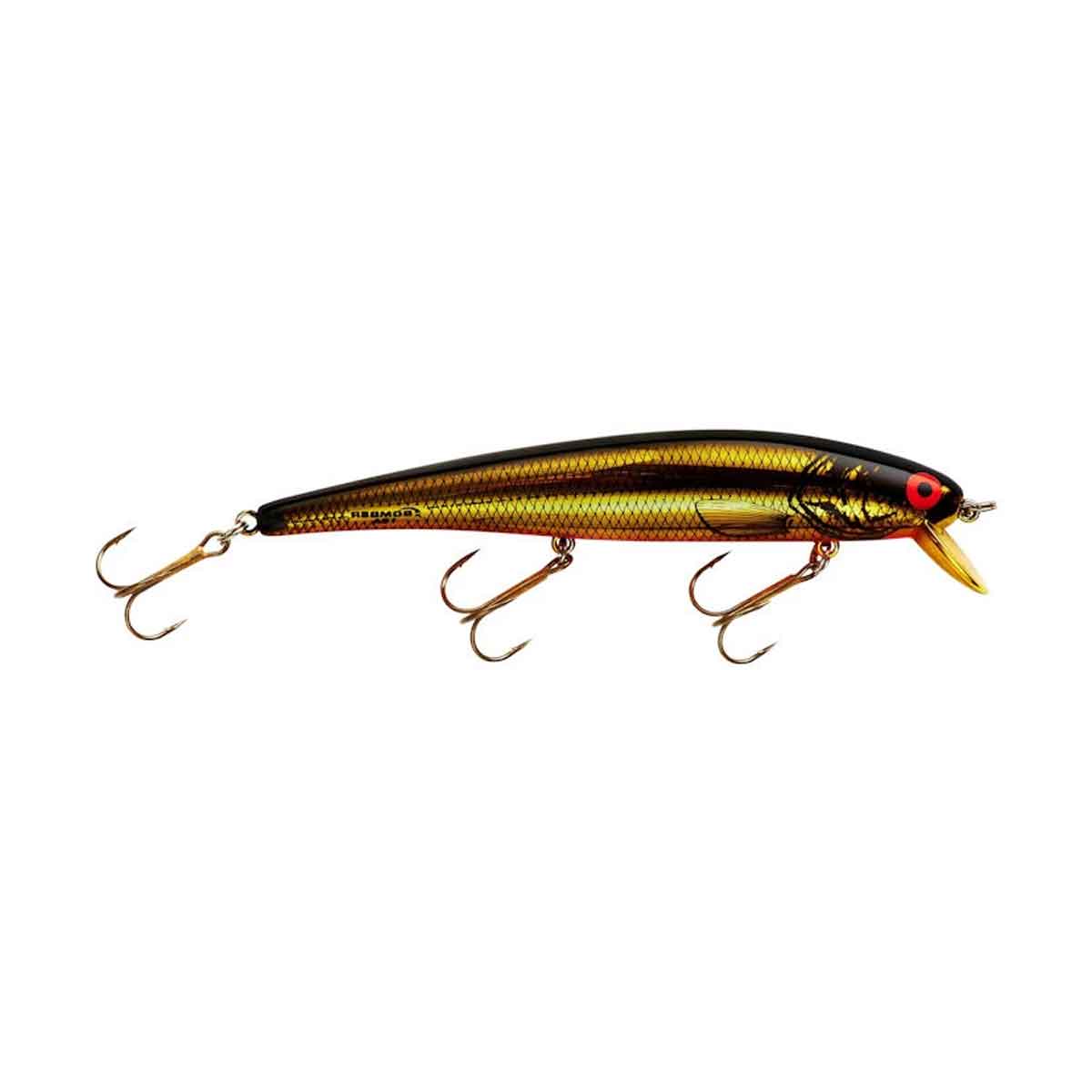 Long A_Gold Chrome/Orange Belly*