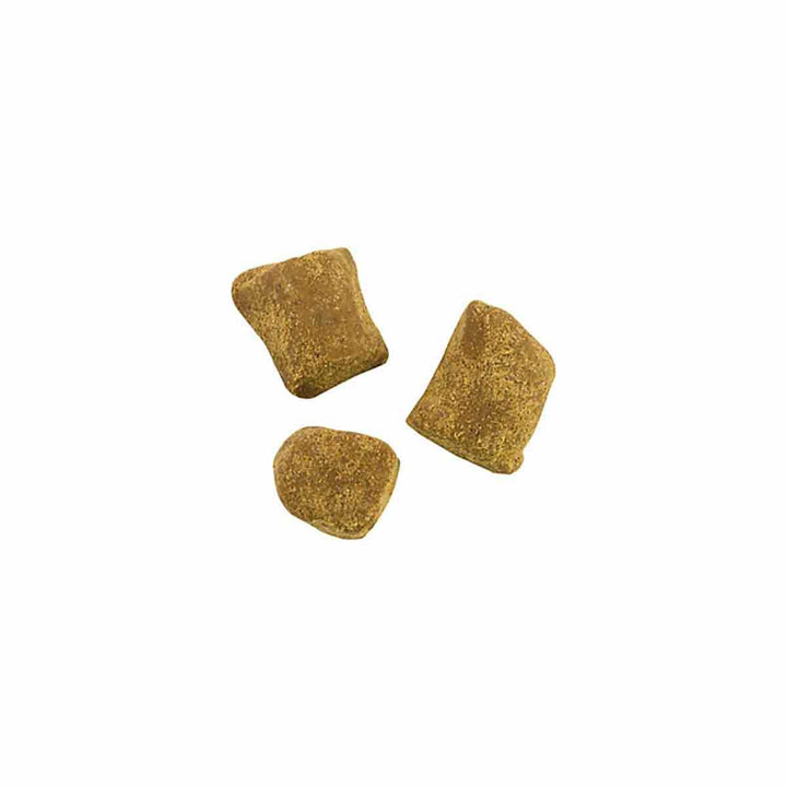 Berkley PowerBait Catfish Bait Chunks