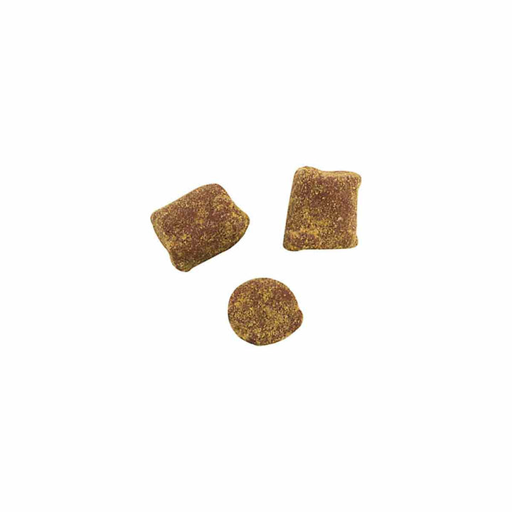 Berkley PowerBait Catfish Bait Chunks