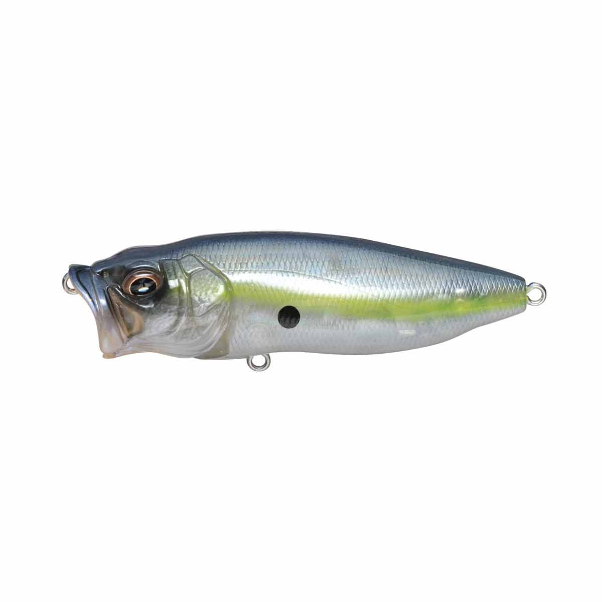 PopMax_GP Sexy Shad