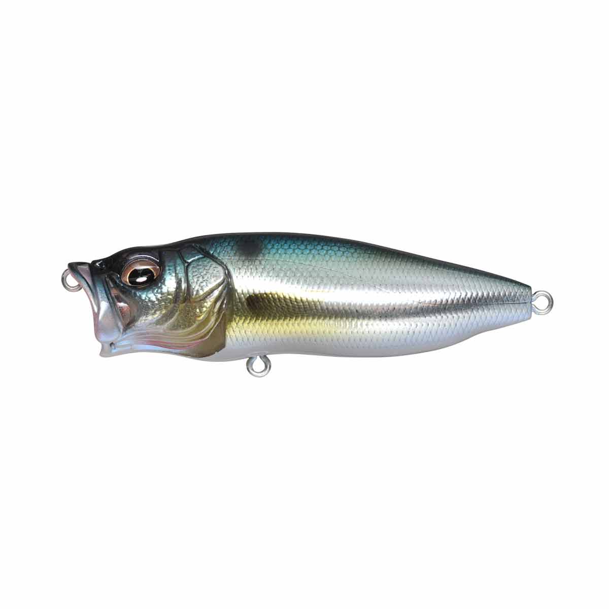 PopMax_M Threadfin Shad