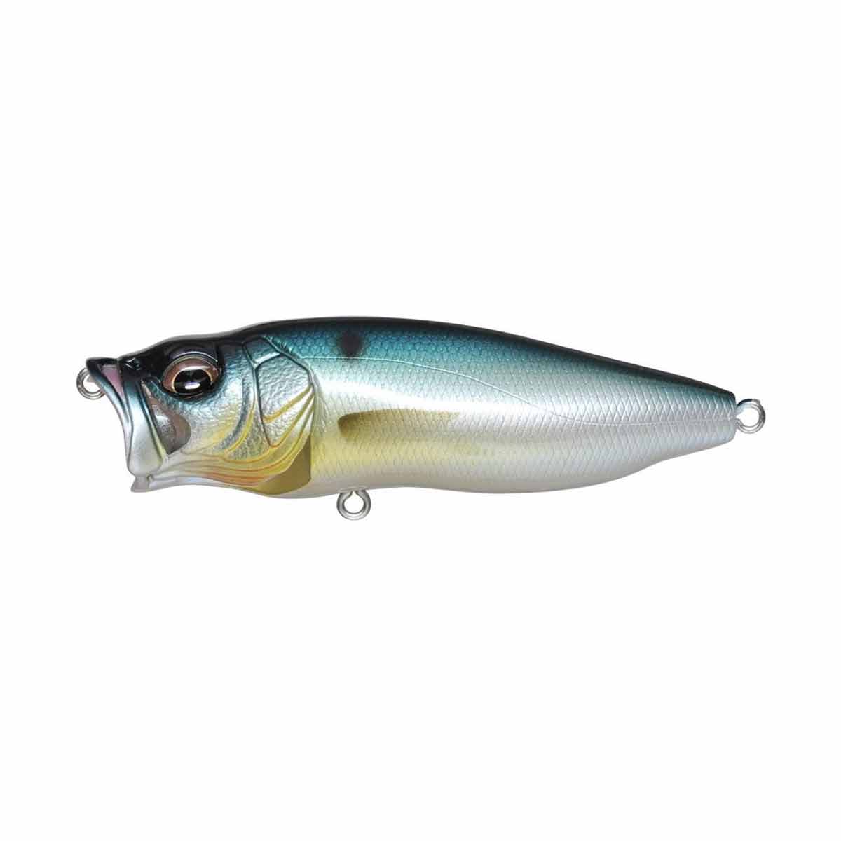 PopMax_PM Threadfin Shad