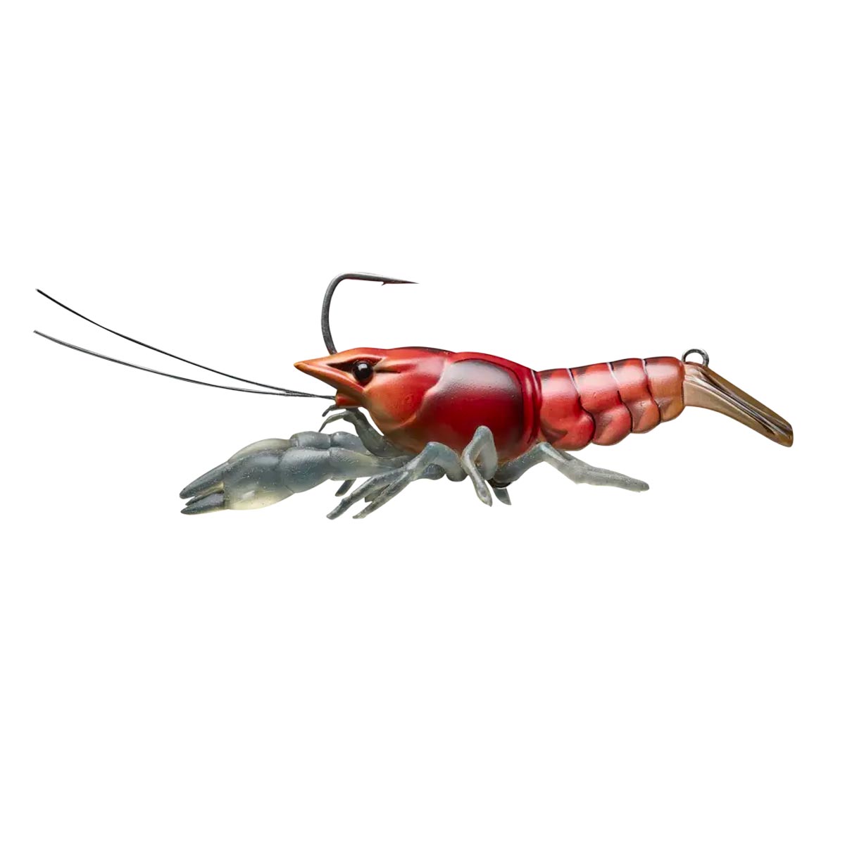 Live Craw_Red Craw
