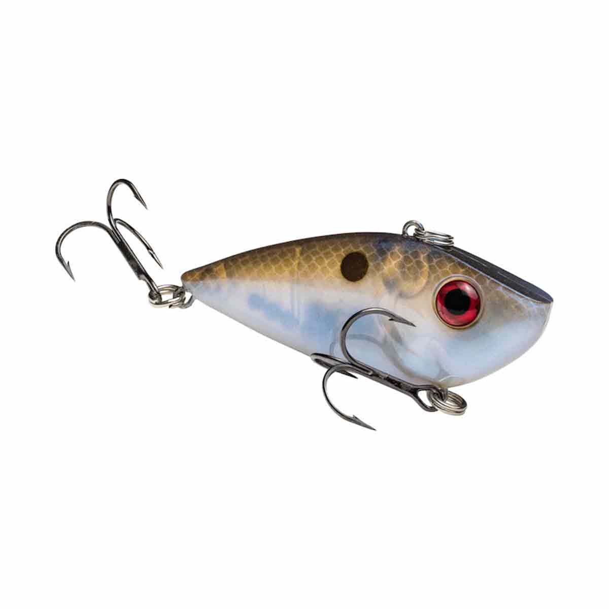 Red Eyed Shad_Blue Gizzard Shad