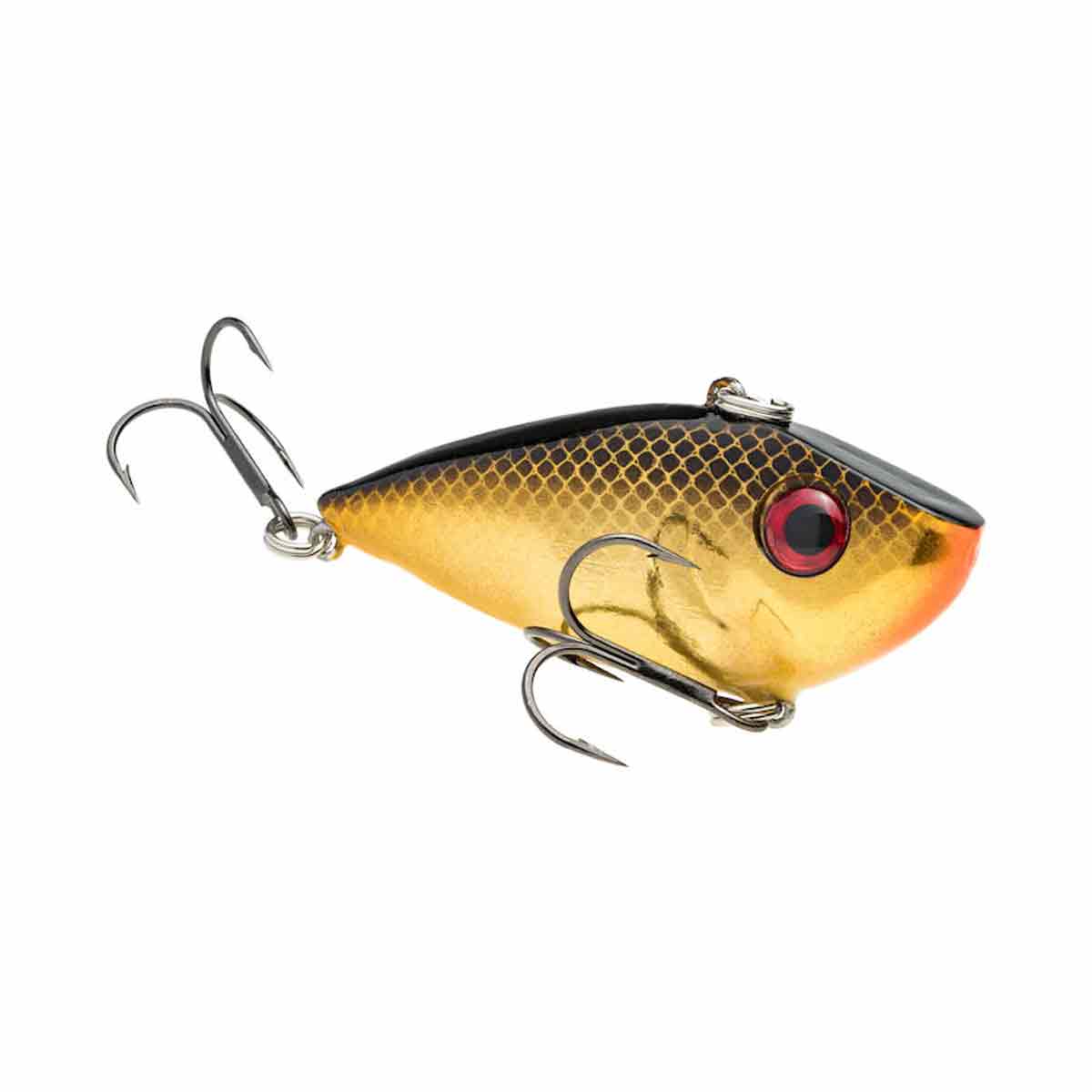 Red Eyed Shad_Gold Black Back