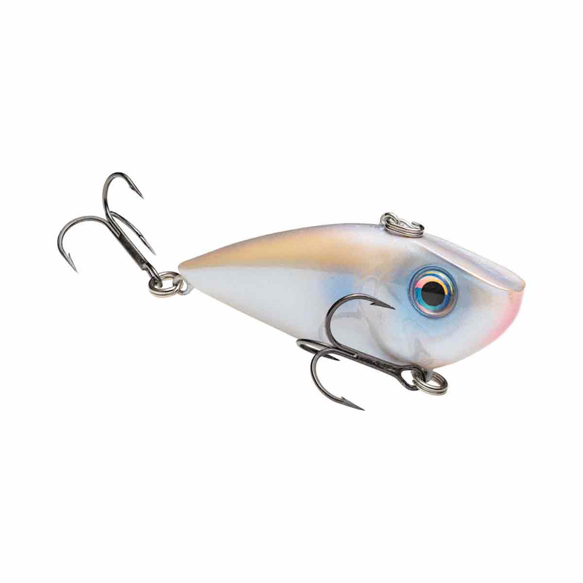 Red Eyed Shad_Oyster