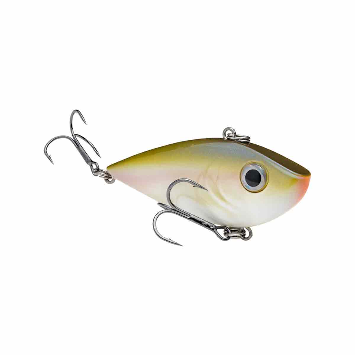 Red Eyed Shad_The Shizzle*