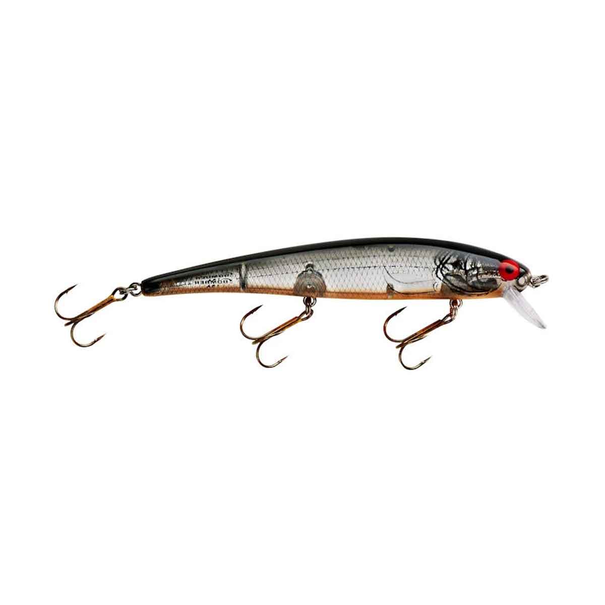 Long A_Silver Flash/Black Back/Orange Belly*
