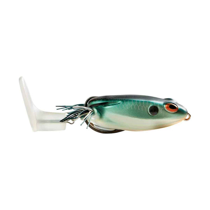 Toadrunner_Shad Frog