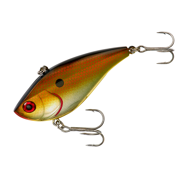 Hard Knocker_Copper Shiner*