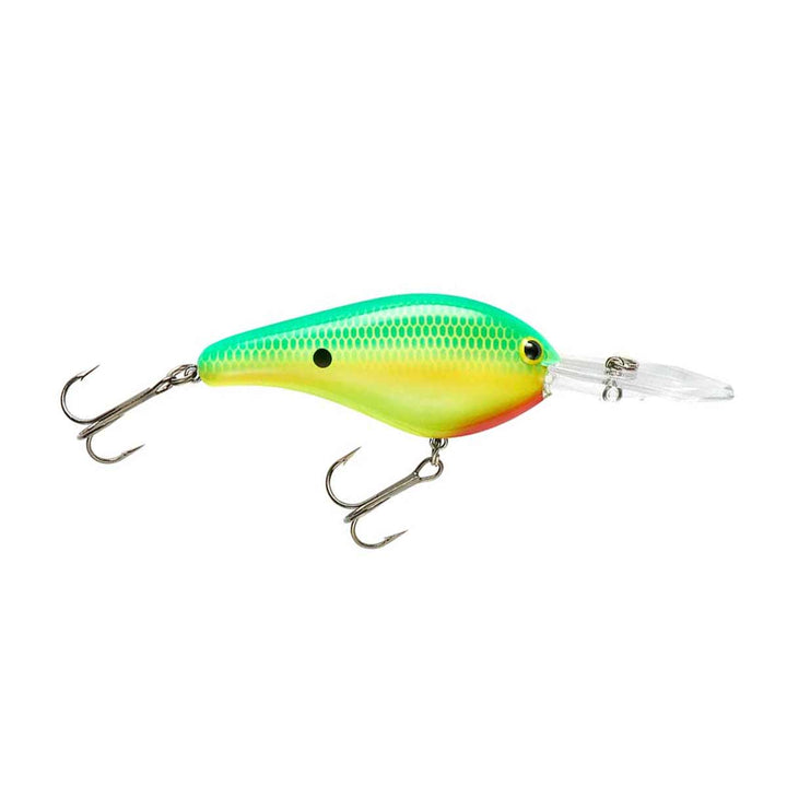 Flat Maxx Deep_Taco Salad*