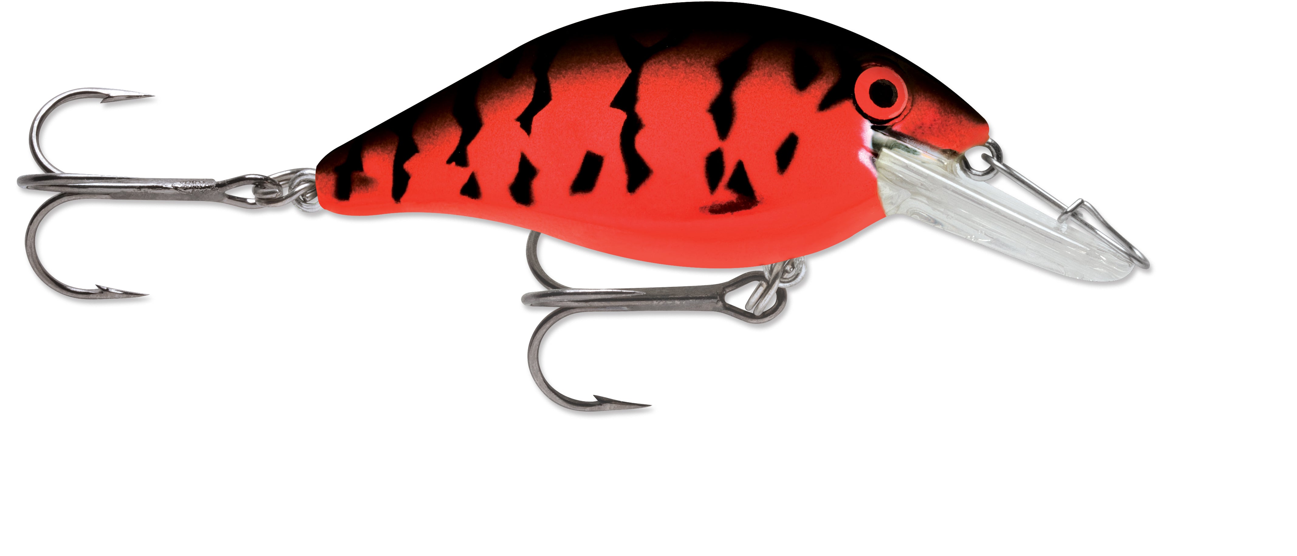 Speed Trap_Orange Crawfish