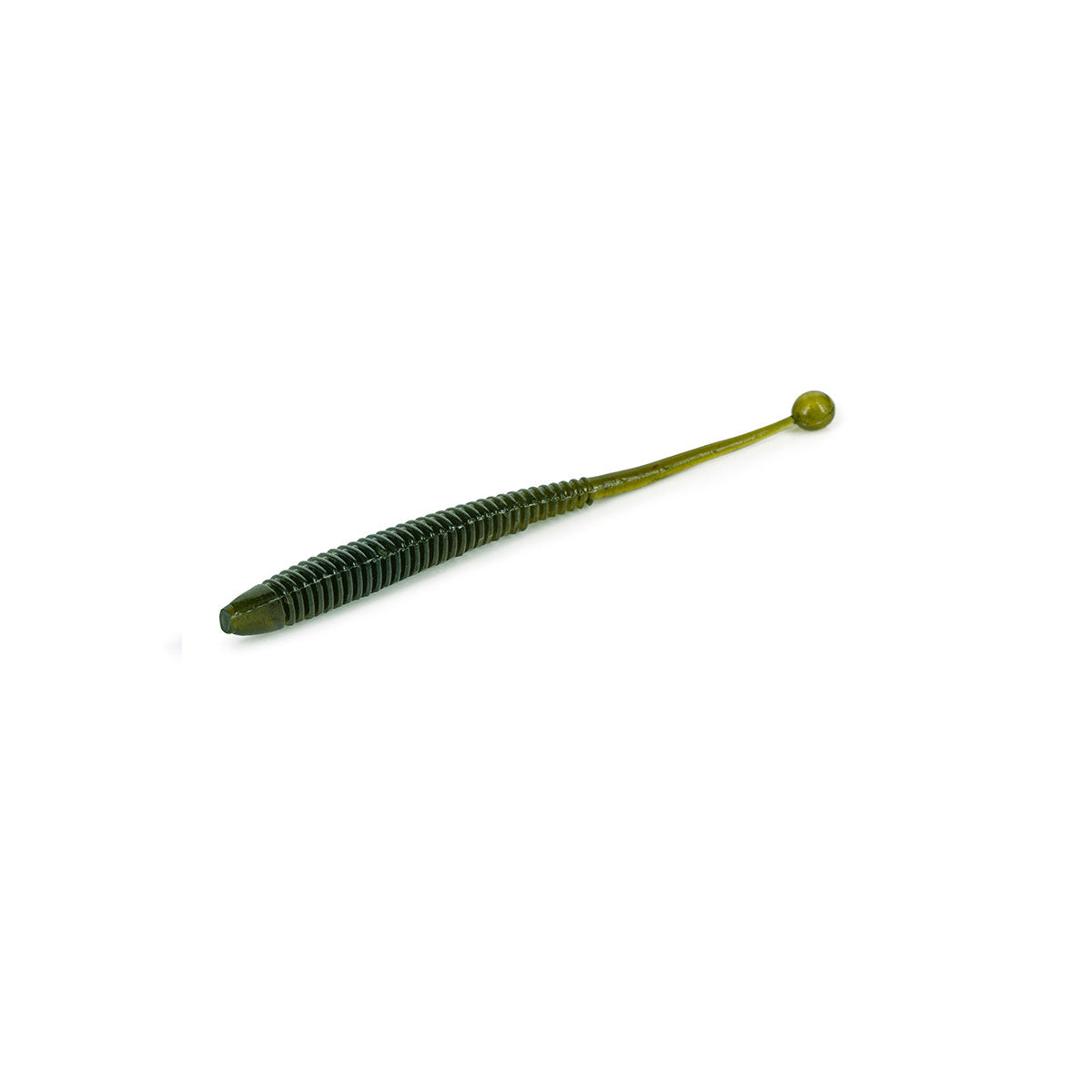 Sator Worm_Watermelon*