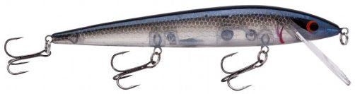 Elite 8 Rogue_Blue Back Herring