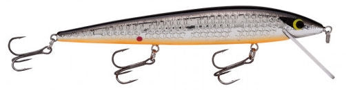 Elite 8 Rogue_Chrome/Black Back Orange Belly