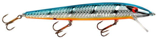 Susp. Super Rogue_Chrome/Blue Back Orange Belly