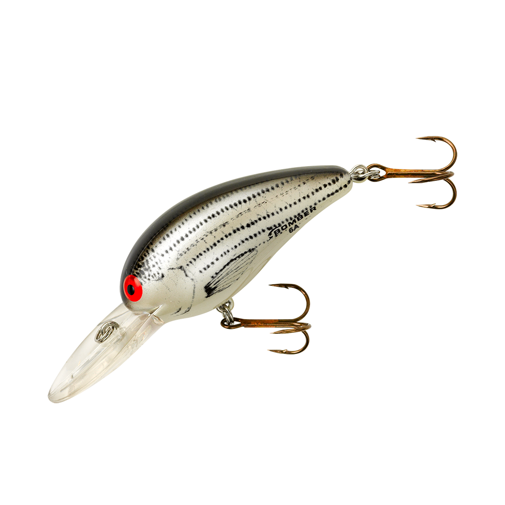 Model A_Tennessee Shad