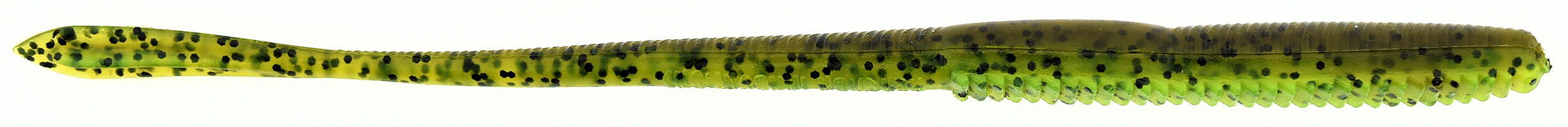 Flirt Worm_Dirty Sanchez