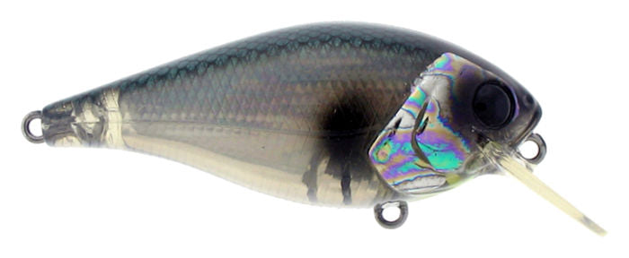 Biggie Squarebill_Abalone Shad