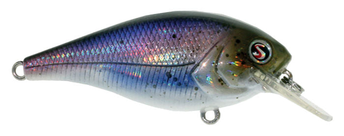 Biggie Squarebill_Hickory Shad