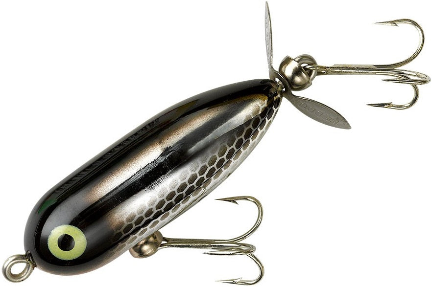 Tiny Torpedo_Black Shiner