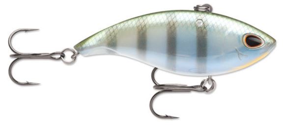 Arashi Vibe_Bluegill*