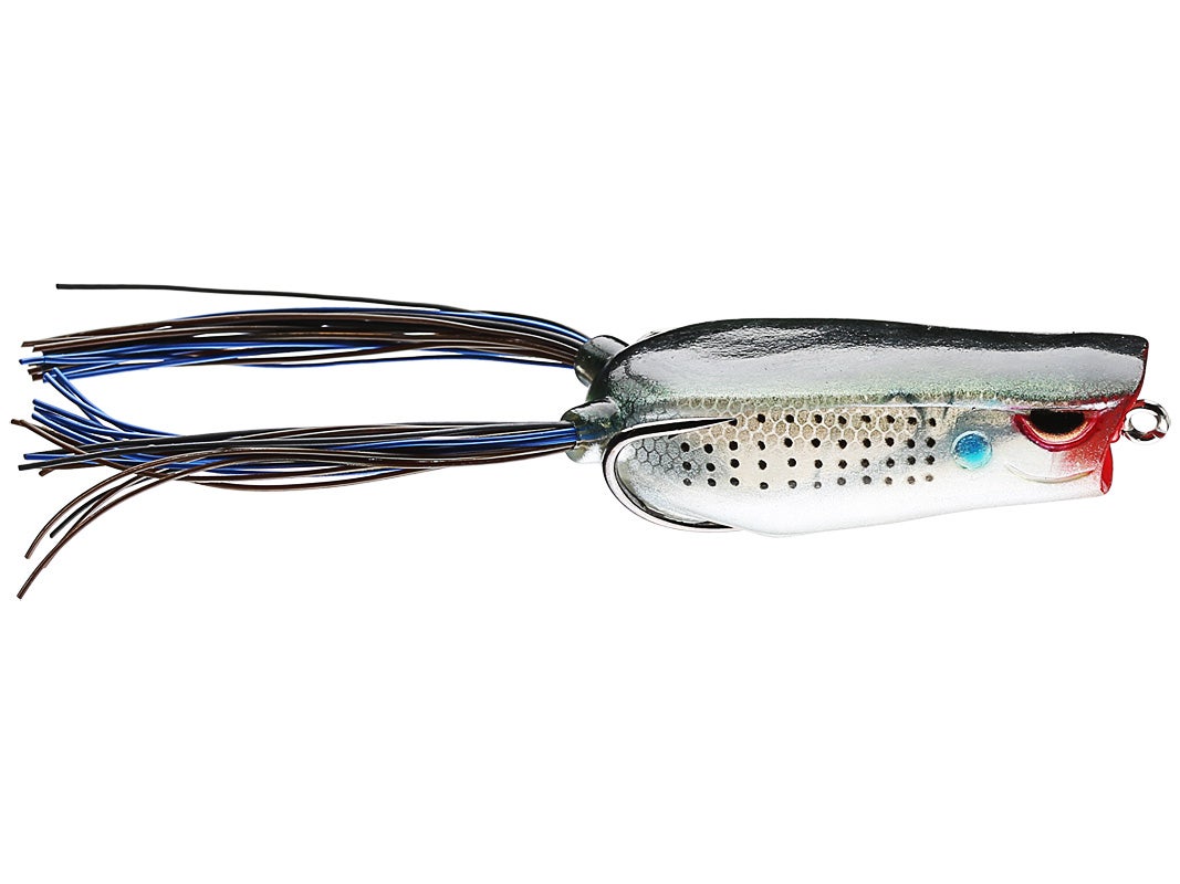 Bronzeye Poppin Frog_Pop Speck