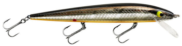 Perfect 10 Rogue_Chrome/Black Back Orange Belly