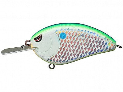 Little John XL 70_Citrus Shad*