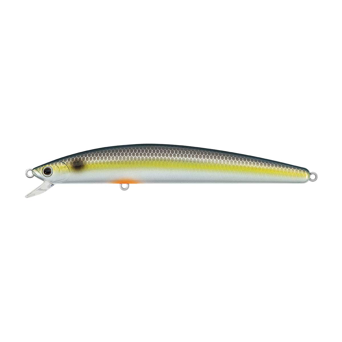 TD Minnow_GQ Shiner*