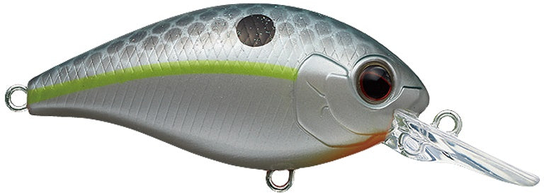 CR-6 Crankbait_Queen Shad