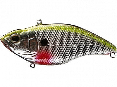 Aruku Shad_Chrome Shad