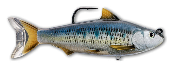 Swimbait Common Shiner_Silver/Blue