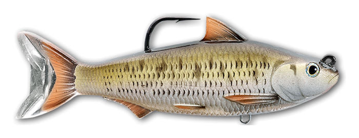 Swimbait Common Shiner_Silver/Bronze