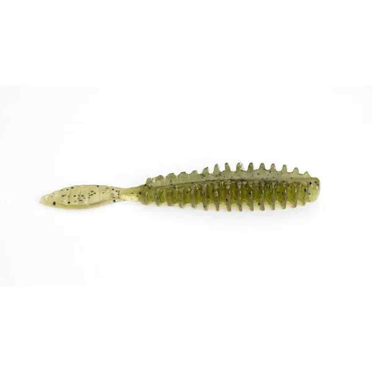 Erie Darter_Warner Melon